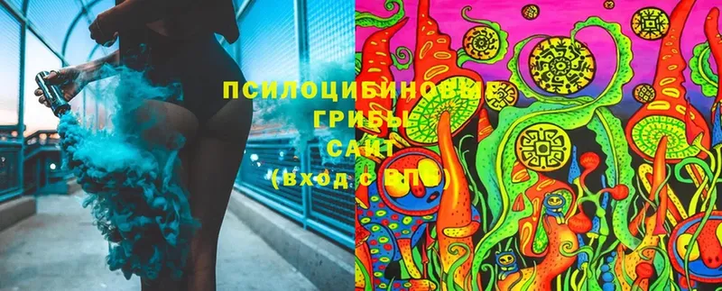 ссылка на мегу ССЫЛКА  мориарти какой сайт  Галлюциногенные грибы Cubensis  Апшеронск 